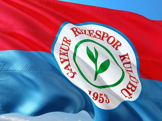 欧洲赛场上 欧洲赛场上