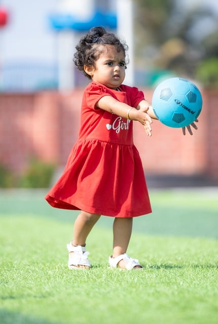 球队的积分 球队的积分