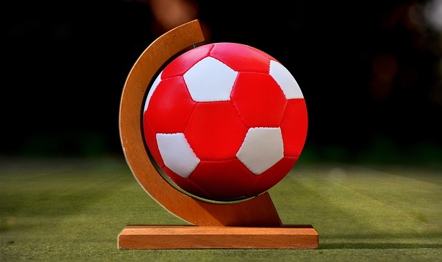 天津津门虎 天津津门虎