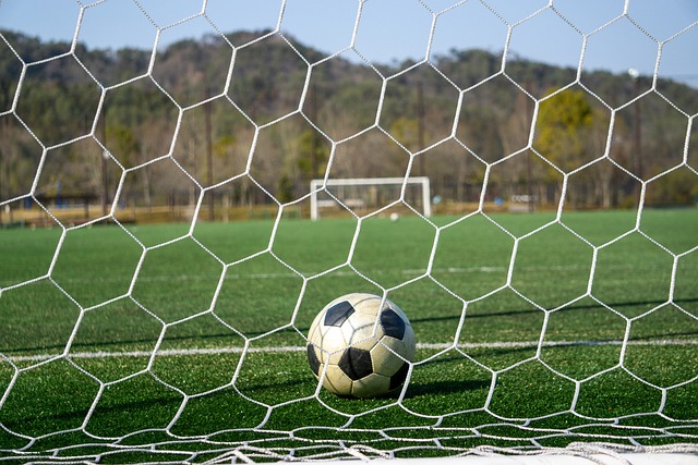 的竞技灵感 的竞技灵感