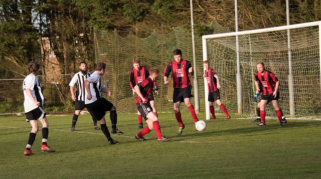 有全面篮球 有全面篮球