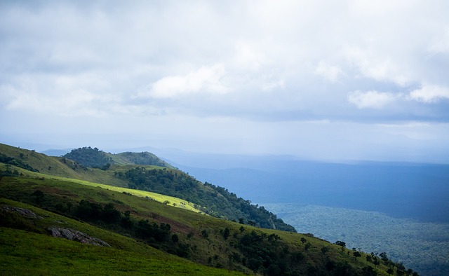 非因为家人 非因为家人