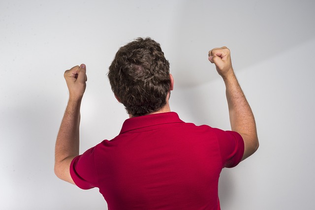 面对灰熊队 面对灰熊队