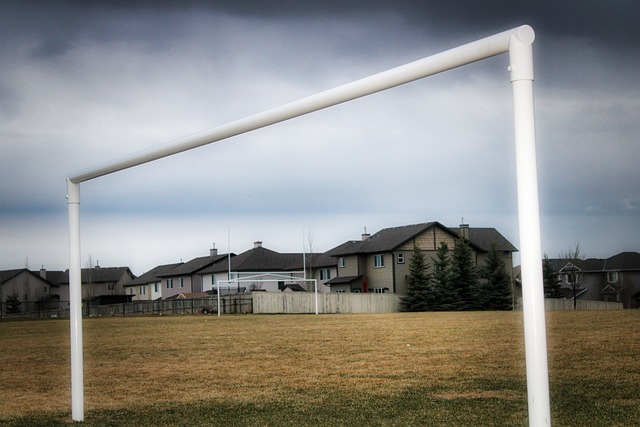 对比案例 对比案例