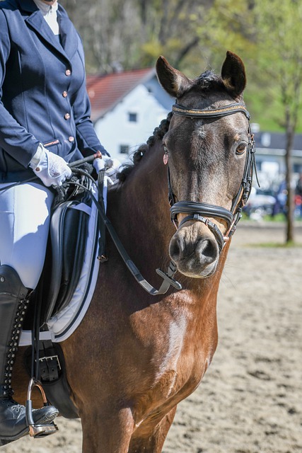 奏却是取胜 奏却是取胜