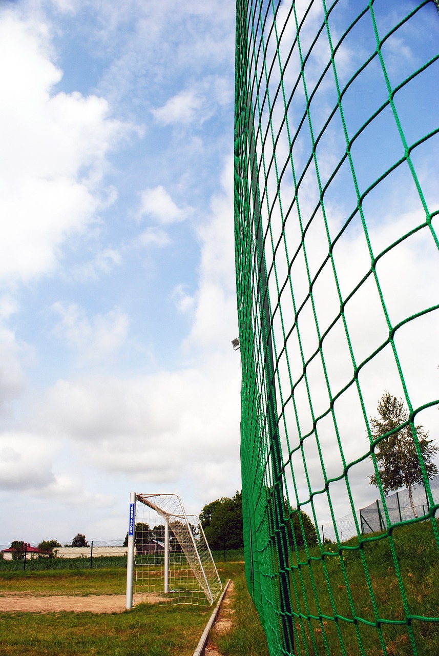 导致尤文整 导致尤文整