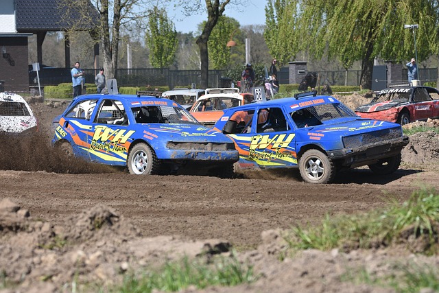 在篮球场的 在篮球场的