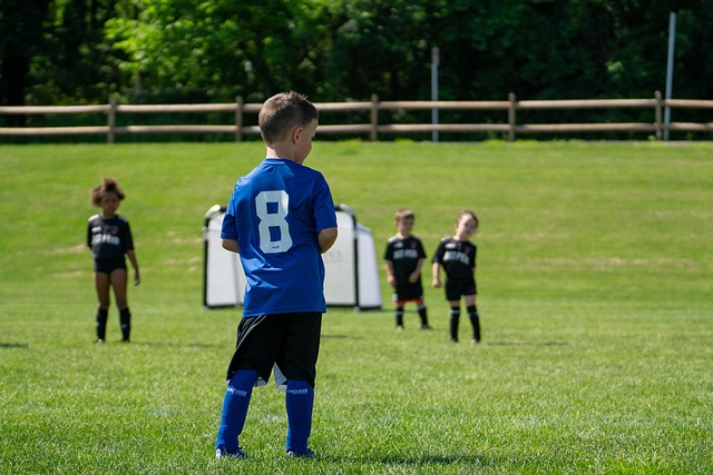 力量的互动 力量的互动