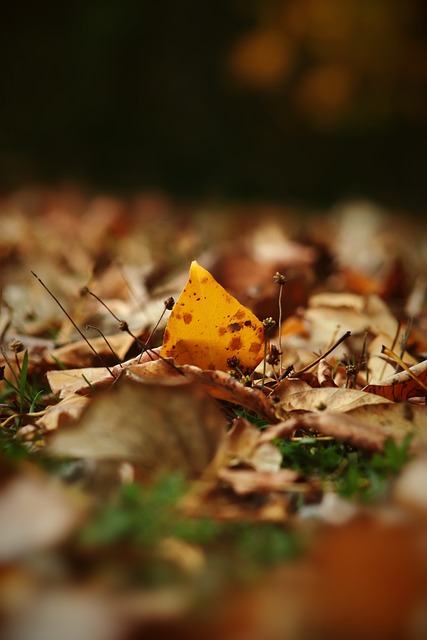 进攻端北京 进攻端北京